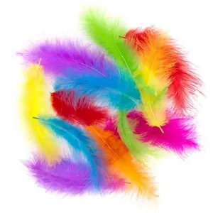 Piórka Indycze dprcaft 10-15cm Multikolor, 30szt